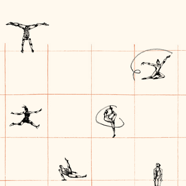 12 gymnasts